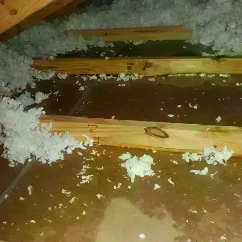 Attic Water Damage in Brown County, SD