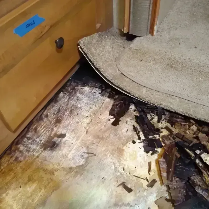 Wood Floor Water Damage in Brown County, SD